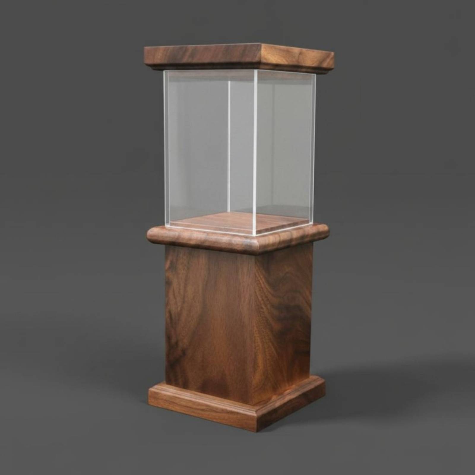 Vitrine anti-poussière transpa - Lighting & Home Decor Studio Photos avis et prix